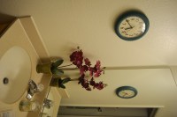 orchid and clock in bathroom