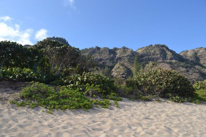 Erdman shore to mountains