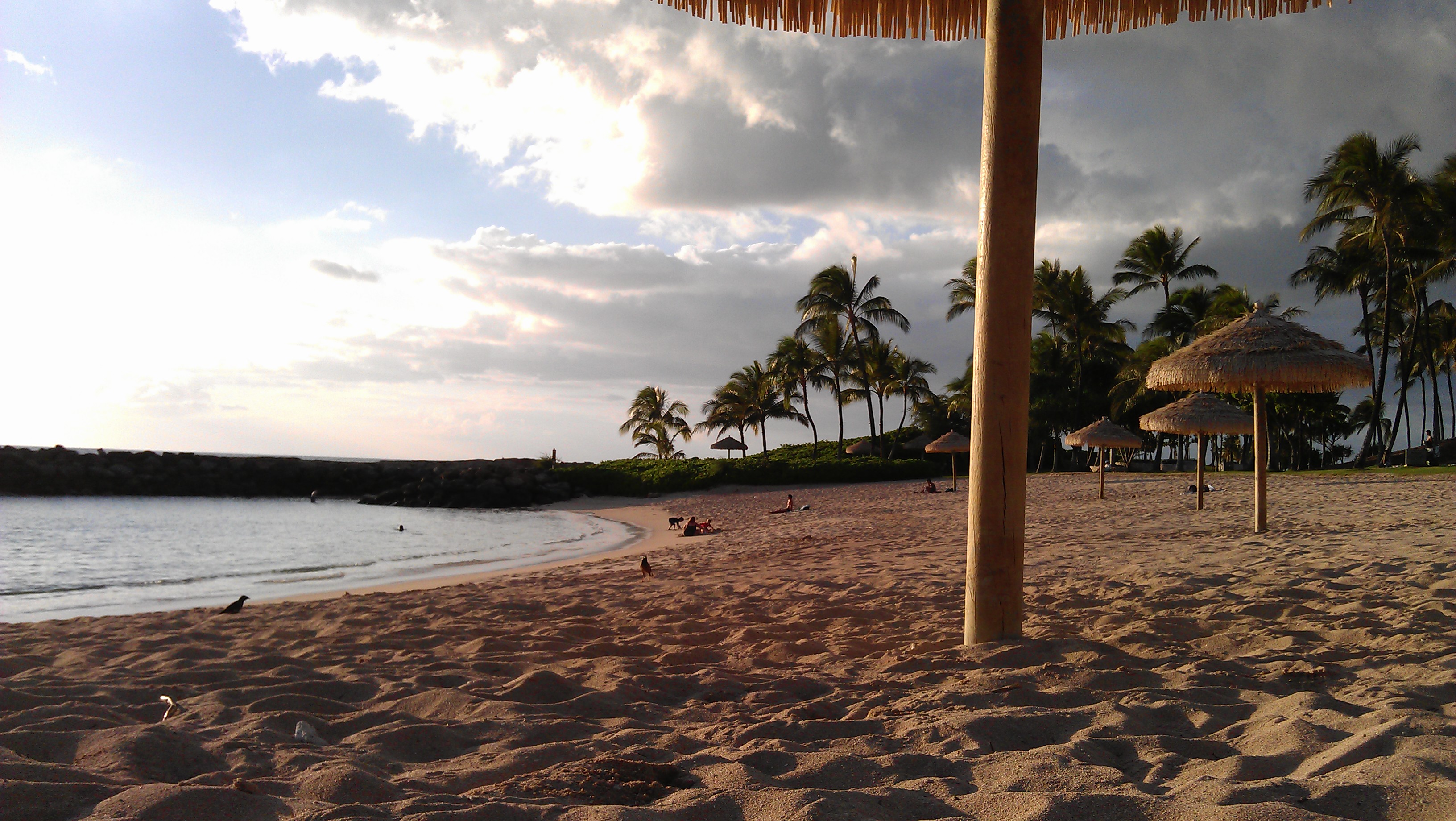 1/9/2012 beach umbrellas