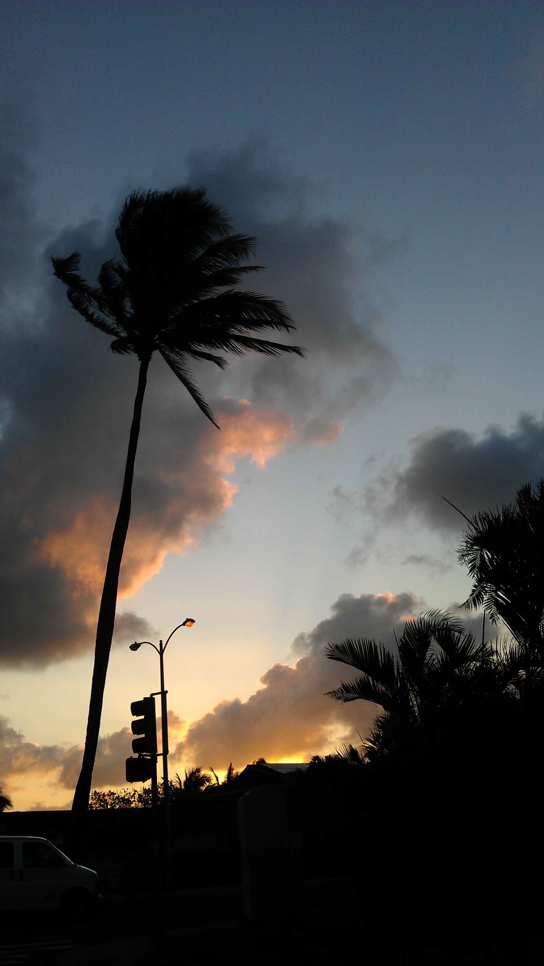 1/28/2012 Sunrise heading to the whale count
