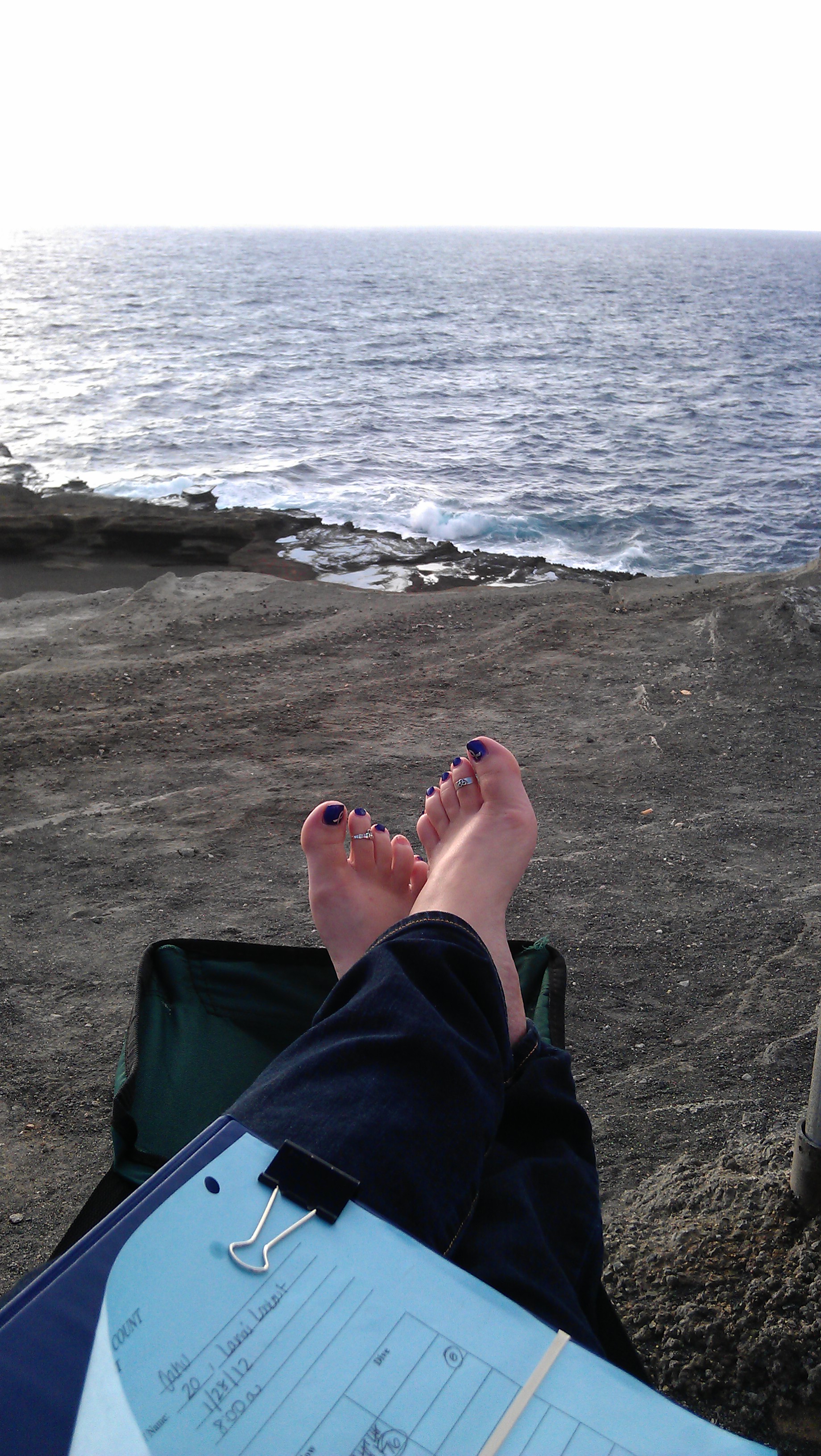 1/28/2012 counting whales is tough work