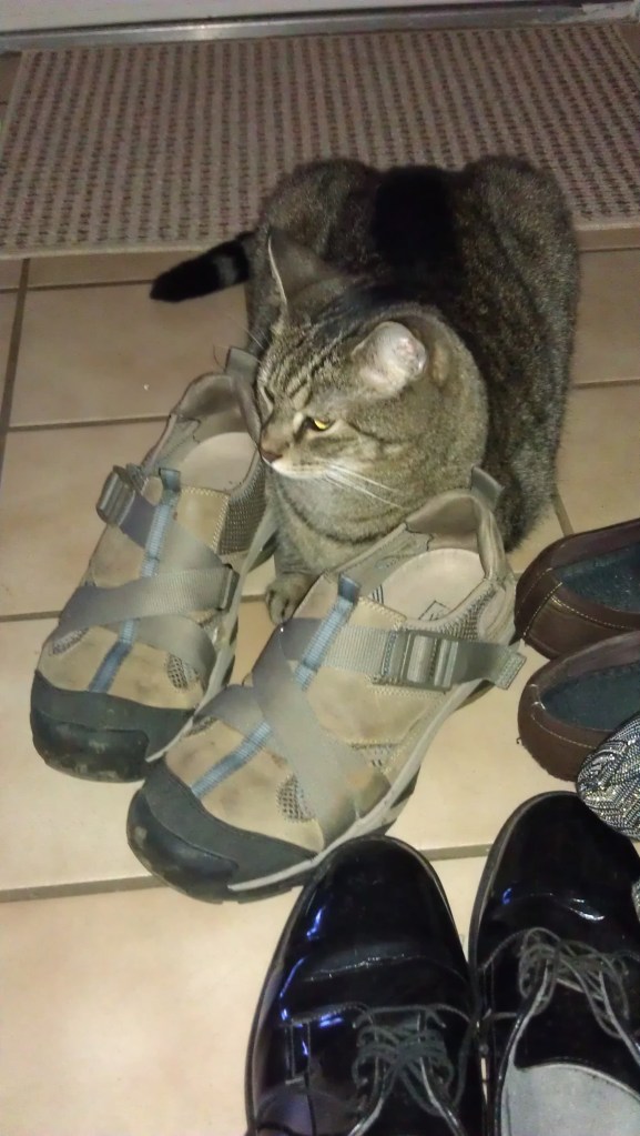 2/18/2012 Caspian loves shoes