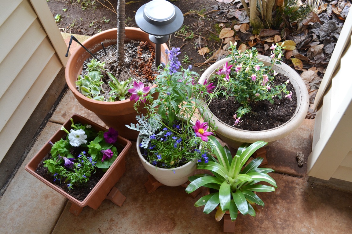 Container garden 2