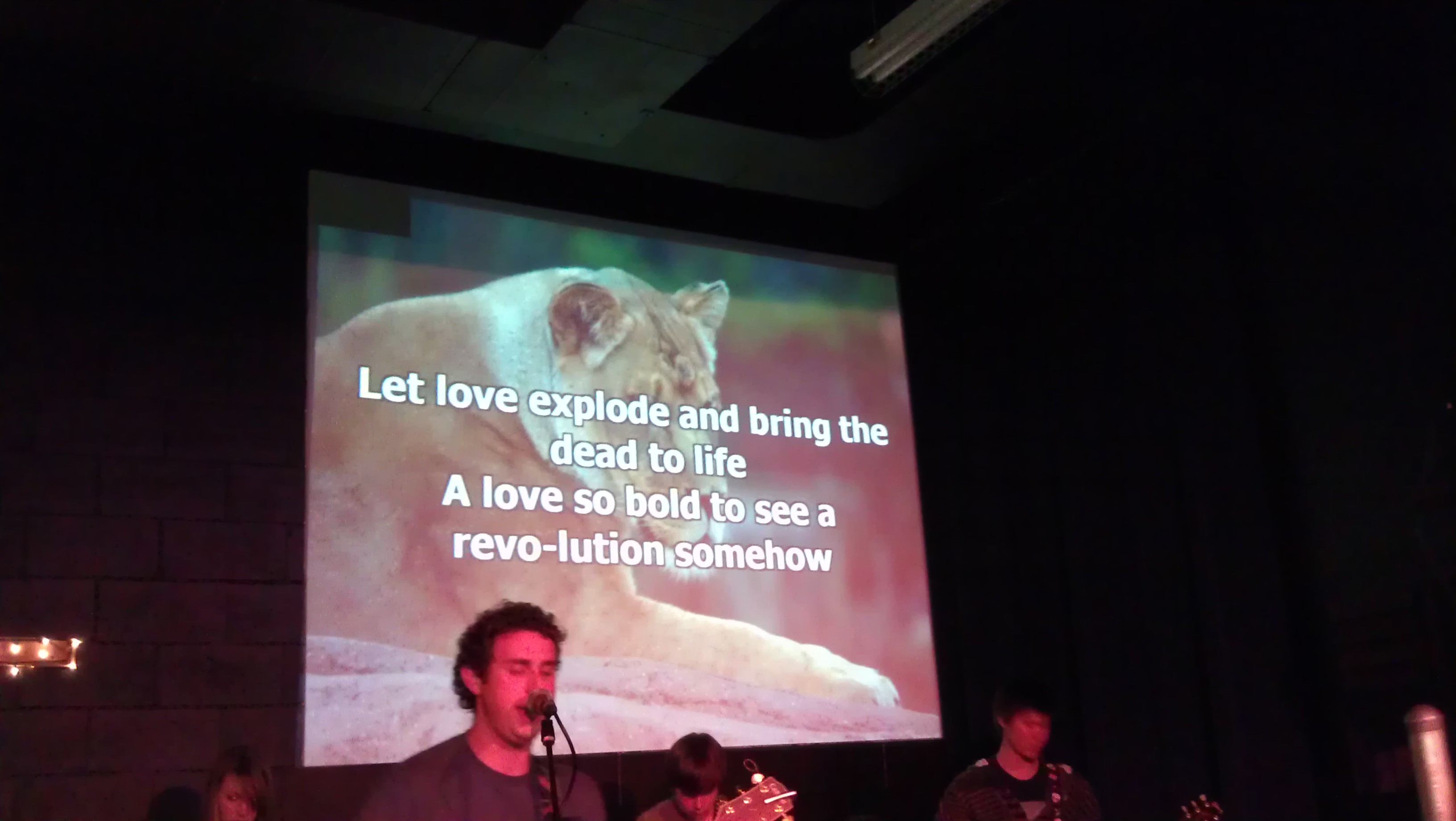 3/28/2012 lion photo on the screen