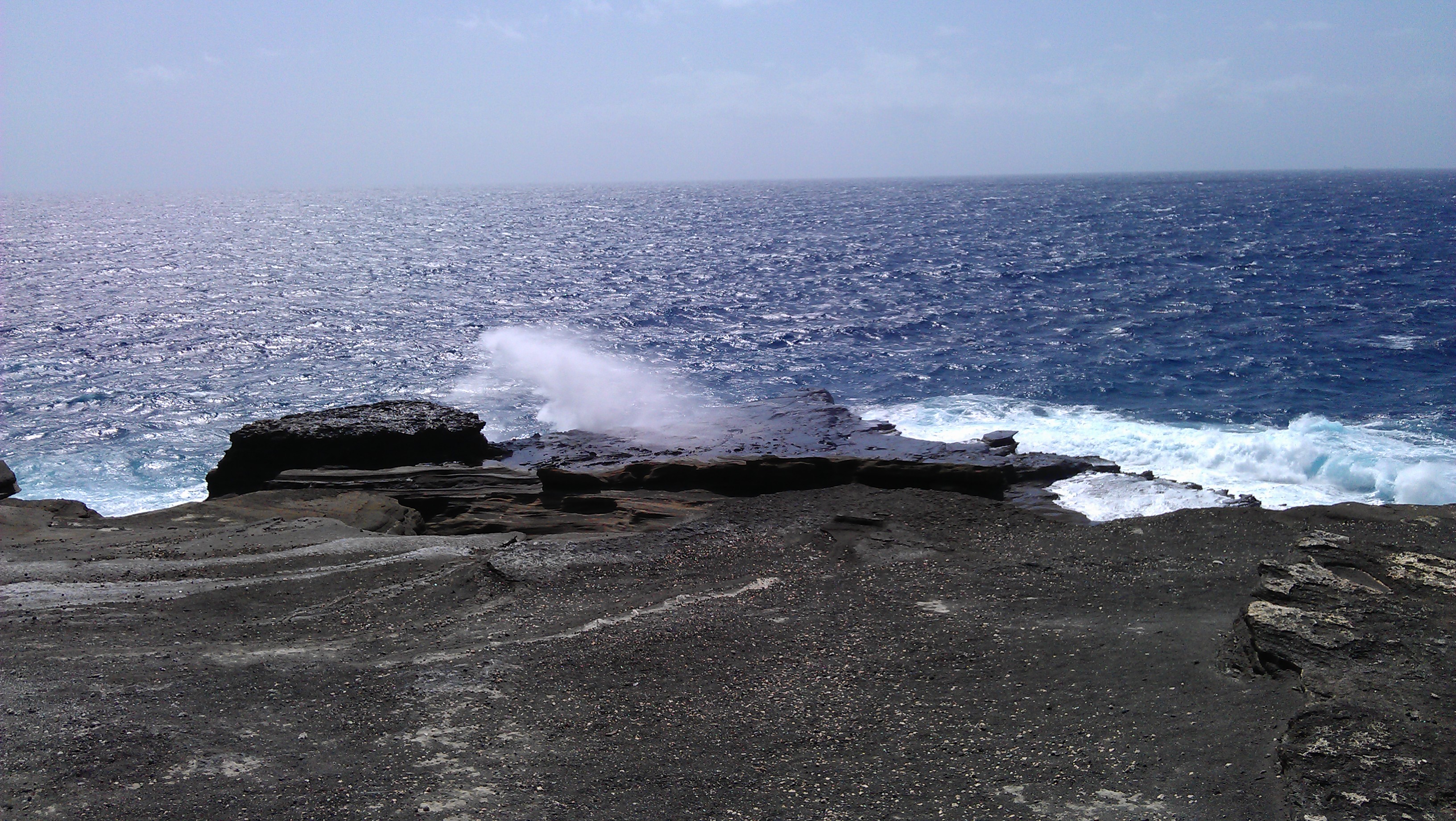 3/31/2012 whale count waves that are ridiculously high