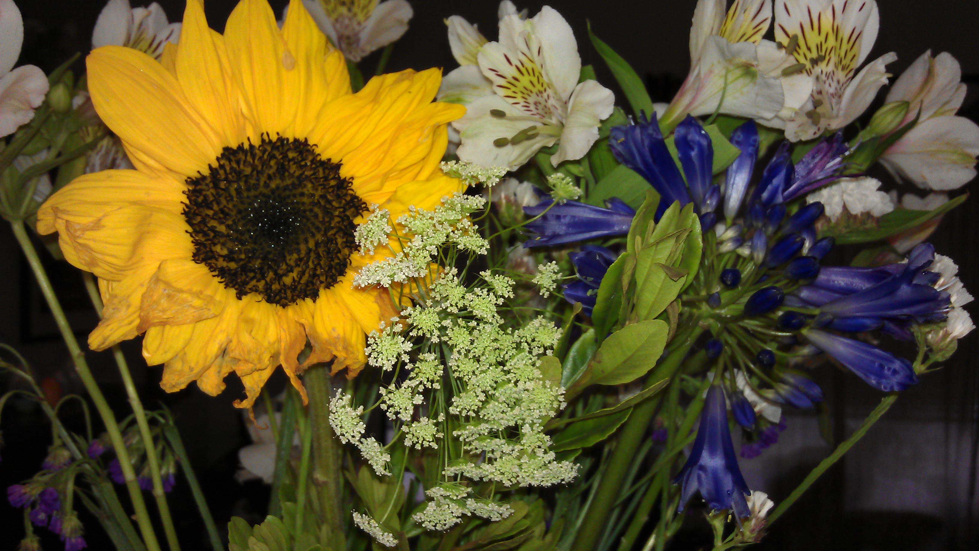 4/2/2012 spring flowers from J