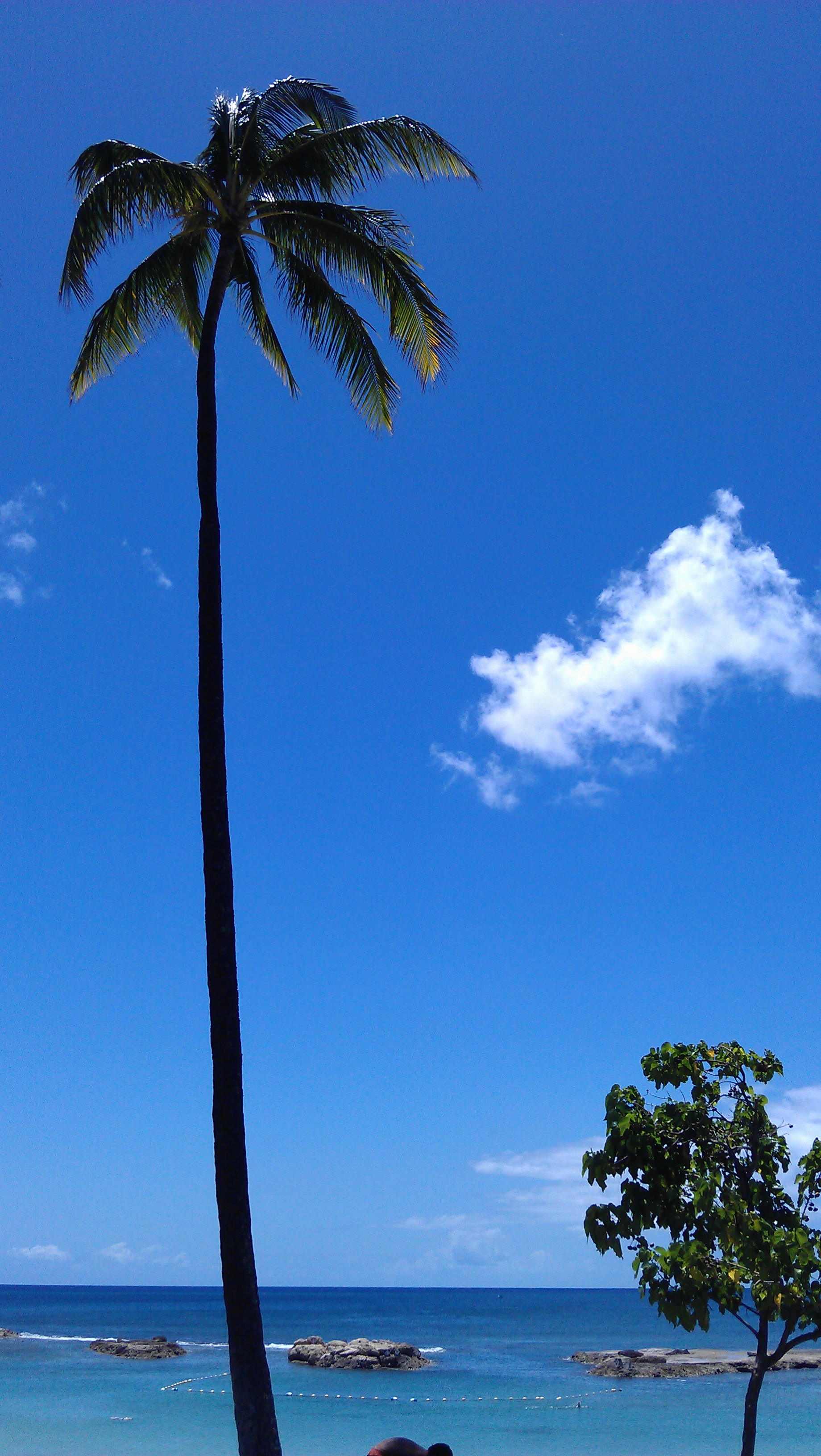 4/20/2012 beach day blue skies and bluer water