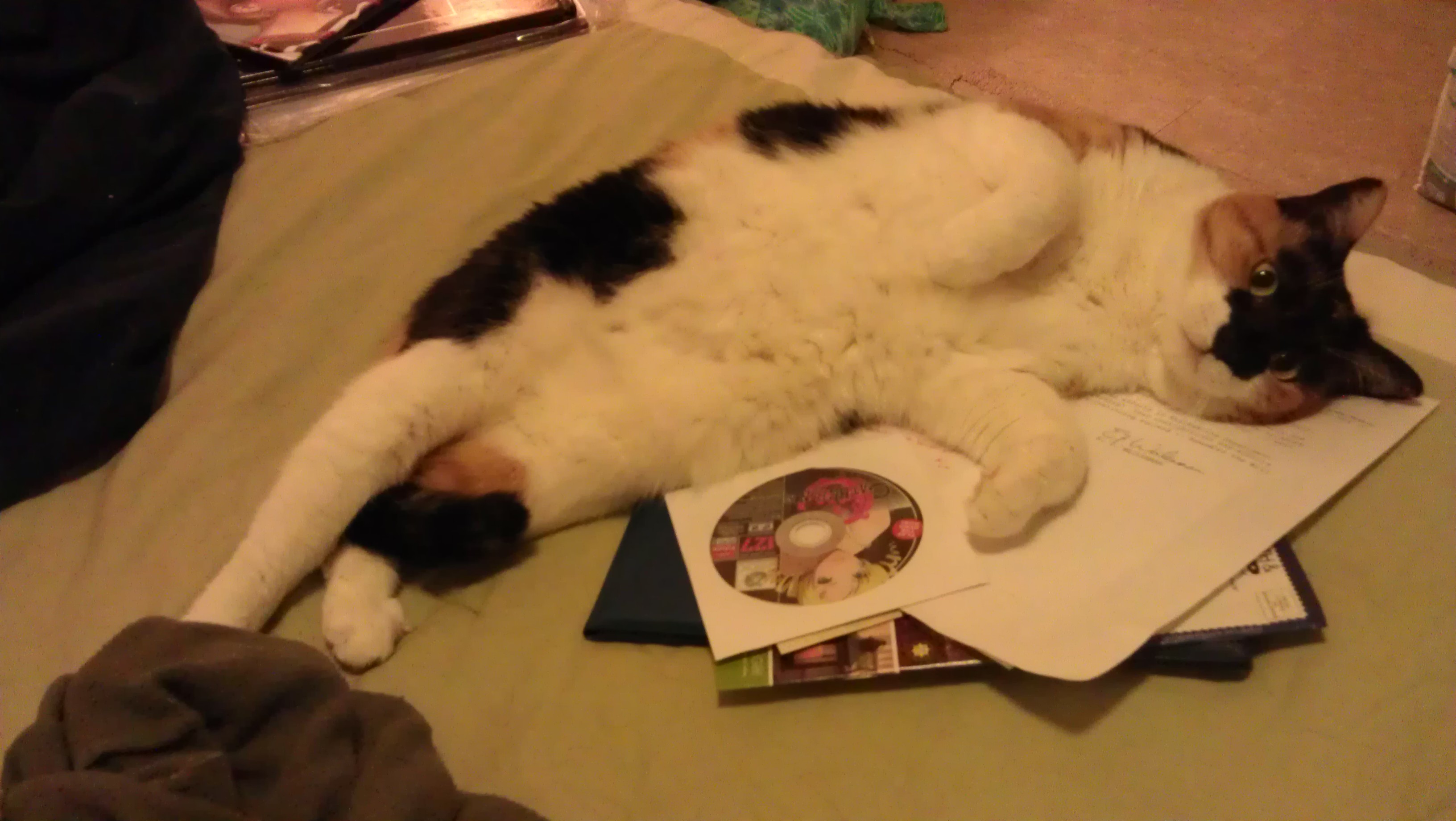 5/16/2012 noticing a pattern this month