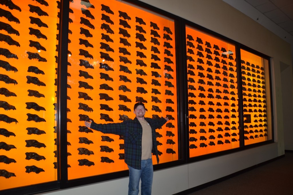 La Brea, J with dire wolf skulls