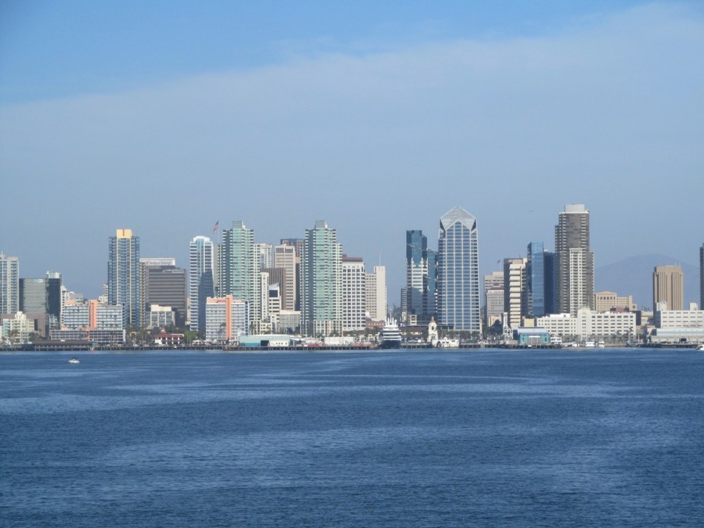 Whale Watching San Diego skyline