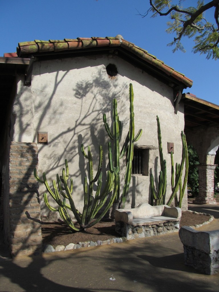 San Juan Capistrano swallow nest wall