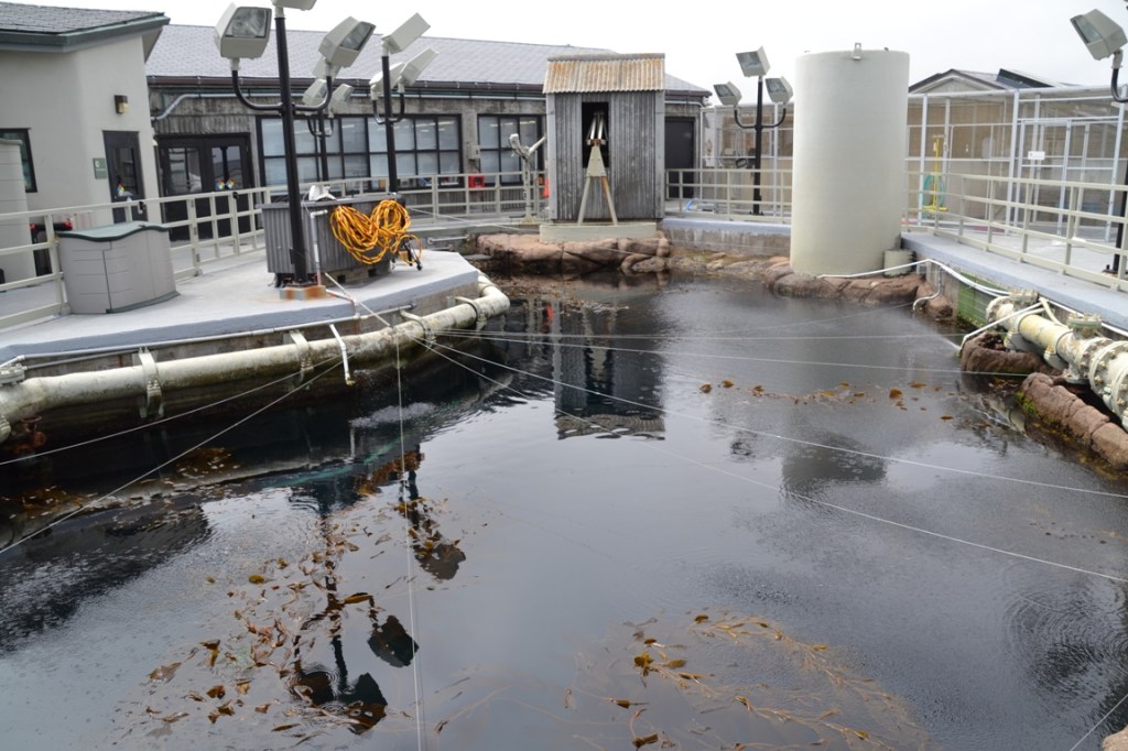 Monterey Bay Aquarium behind the scenes