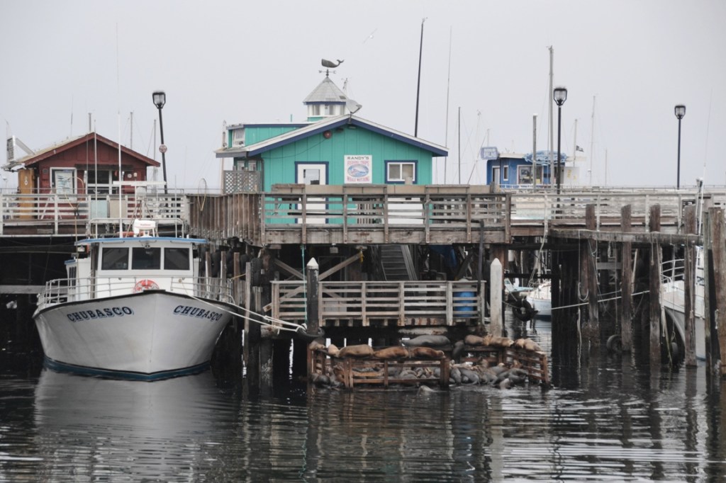 Monterey Bay Aquarium Fisherman's Wharf