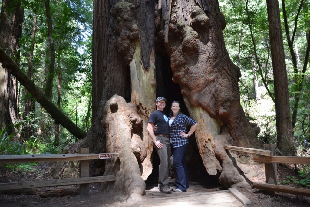 San Francisco Muir Woods, inside a trunk