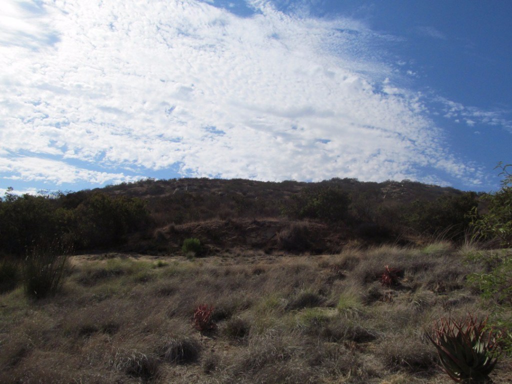 SD Zoo Safari Park, natural scenery