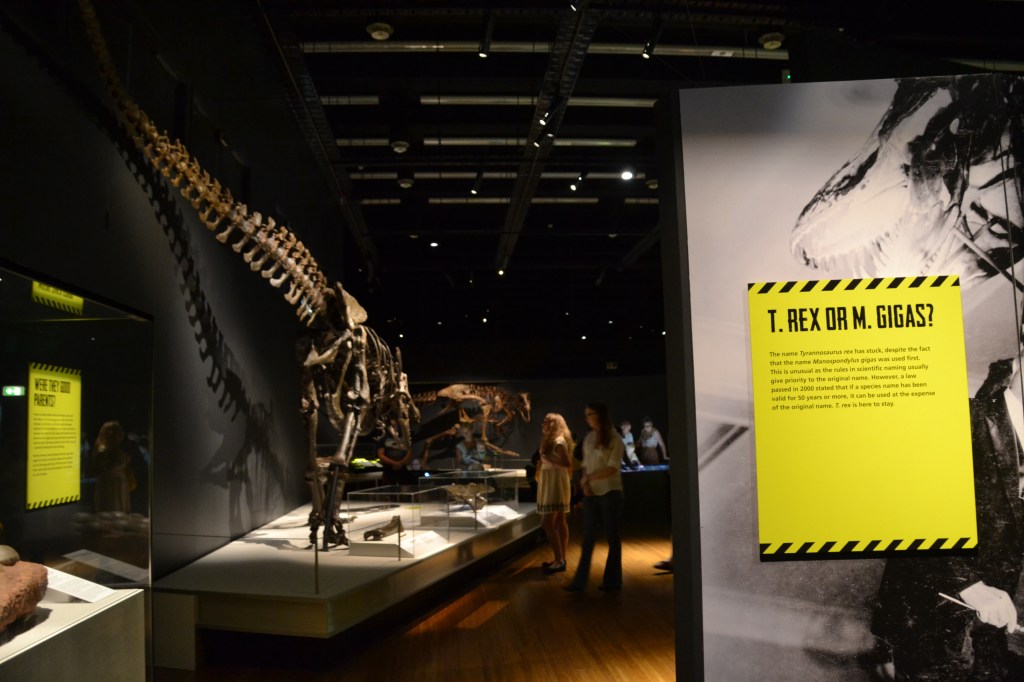 Australia, Sydney natural history dinosaur exhibit