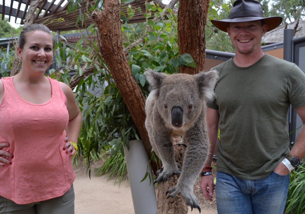 Australia, Sydney Taronga Zoo koala encounter