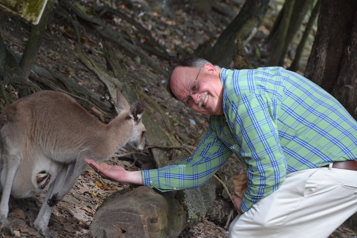 Australia, Port Douglas, dad feeding kangaroo
