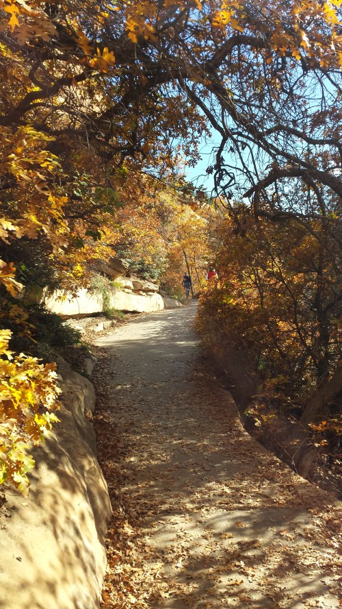 mesa verde, trail to spruce house