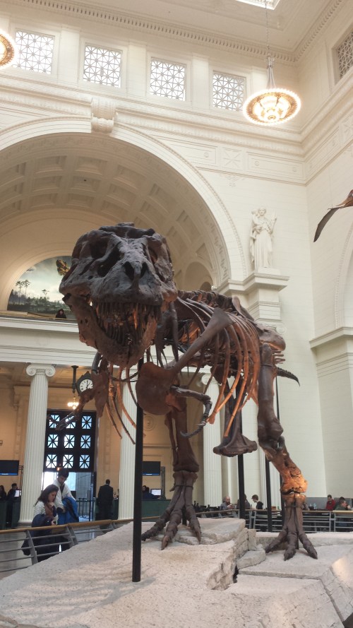 Chicago Field Museum, Sue