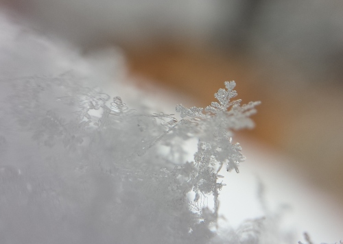 snowflake 15 (flake cluster)