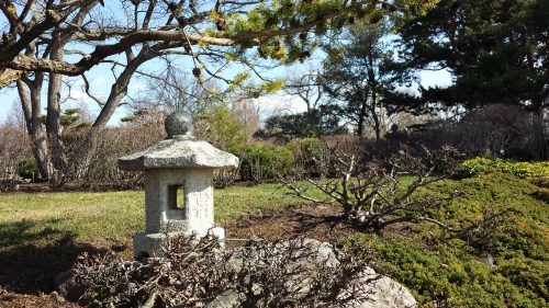 BotanicGarden Japanese garden