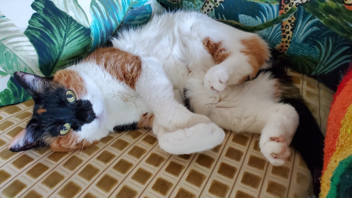 my daily life as experienced over a 5 minute&nbsp;period