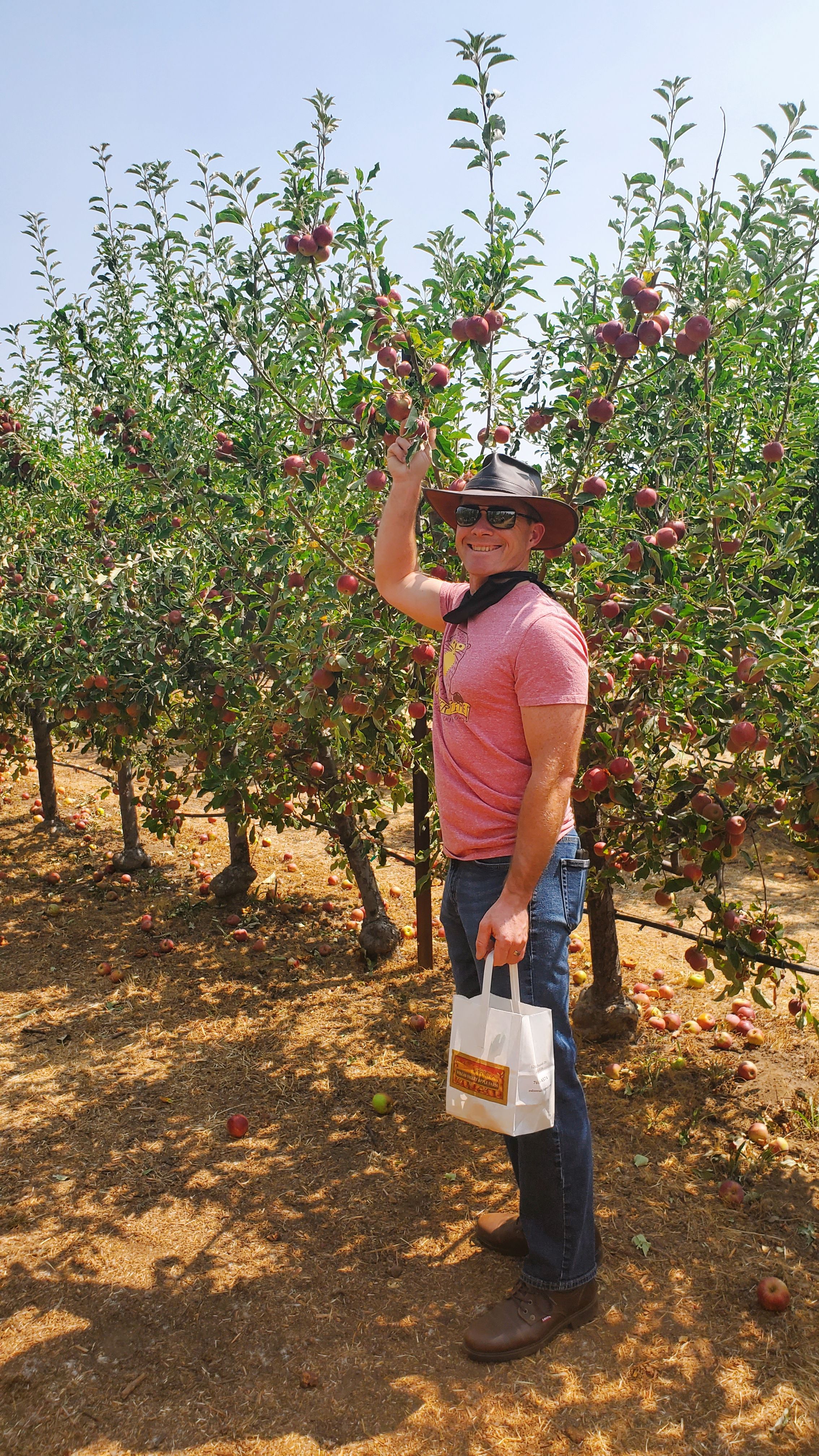 Jared picks an apple from a tree; he's wearing a wide brim hat and glasses, and smiling as he looks over his shoulder 